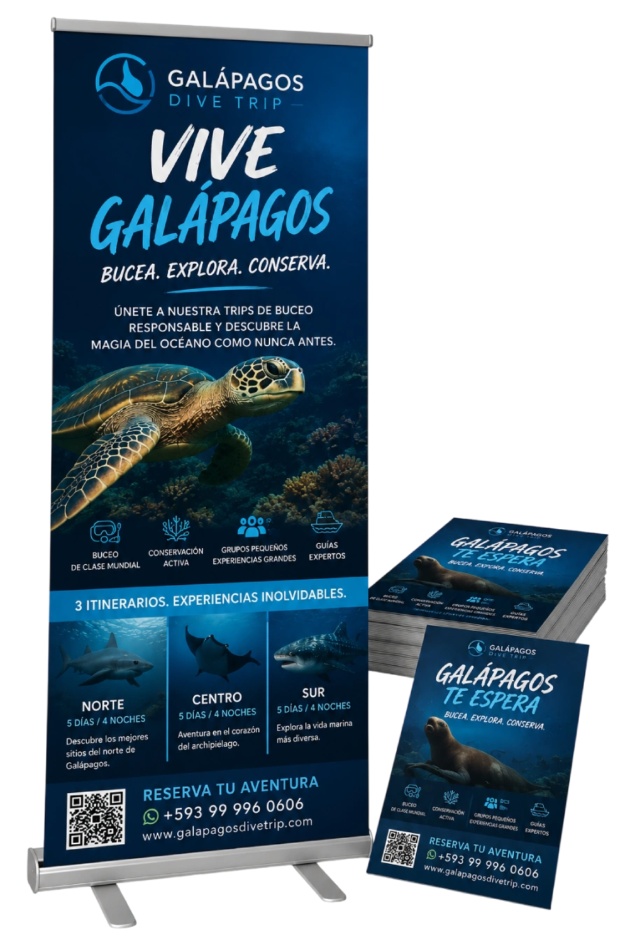 Kit Roll Up y Volantes Publicitarios Personalizados para Negocios y Eventos